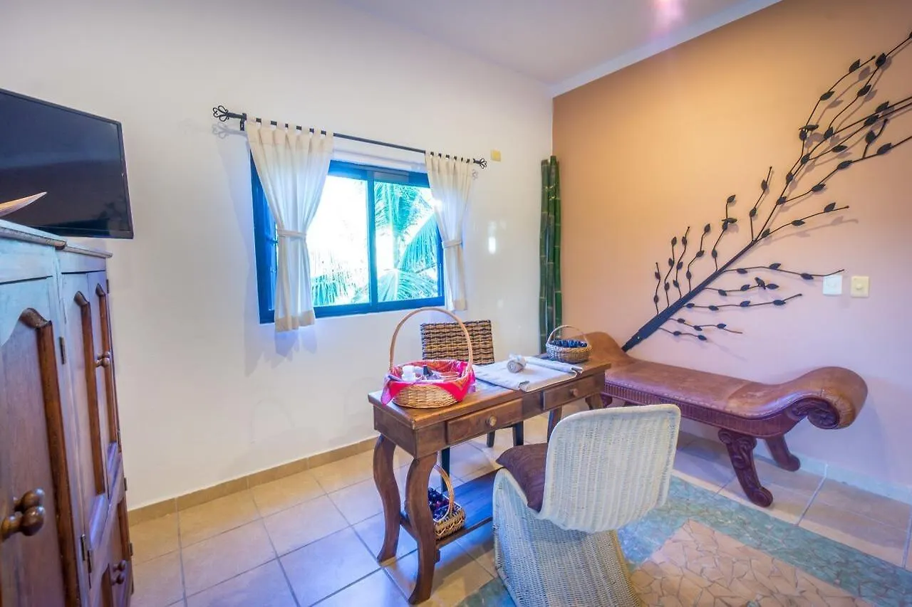 Xperience Hotels Aqualuna Boutique Hotel بلايا ديل كارمن